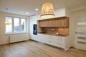 Byt 2+KK, 56 m2, Plzeň Slovany — pronájem, cena 17500 CZK / objekt / měsíc, nabízí 