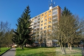 Pronájem, Byt 1+1, Plzeň, cena 10500 CZK / objekt / měsíc, nabízí 