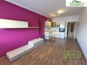 Pronájem, Byt 1+kk, Plzeň, cena 11500 CZK / objekt / měsíc, nabízí 