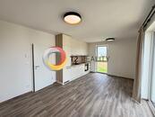 Pronájem bytu 1+kk s výhledem do přírody Plzeň-Litice, cena 12000 CZK / objekt / měsíc, nabízí 