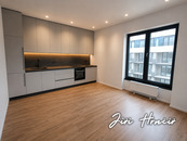Pronájem bytu 1kk, 27 m2, Plzeň, Železná ulice, k nastěhování ihned , cena 12000 CZK / objekt / měsíc, nabízí 