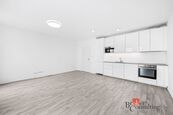 Prodej, byty/1+kk, 46.28 m2, Železná 3061/10, Jižní Předměstí, 30100 Plzeň 3 [ID 90232], cena 4990000 CZK / objekt, nabízí 