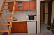 Pronájem, Byt 1+kk, Plzeň, cena 8000 CZK / objekt / měsíc, nabízí 