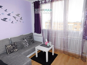 Pronájem, Byt 1+1, Plzeň, cena 10800 CZK / objekt / měsíc, nabízí Realitní kancelář DIRMAX