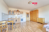 Pronájem bytu 1+kk, 33 m2, Plzeň, ul. Plzenecká, cena 12000 CZK / objekt / měsíc, nabízí 