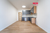 Pronájem bytu 3+kk, 55 m2, Plzeň, ul. Francouzská třída, cena 20000 CZK / objekt / měsíc, nabízí M&M reality holding a.s.