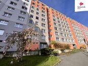 Prodej bytu 1+1 39 m2 Hodonínská, Plzeň, cena 3690000 CZK / objekt, nabízí 