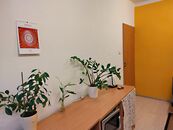 Prodej bytu - garsoniery v OV v ulici Josefa Skupy v Mostě, cena 770000 CZK / objekt, nabízí 