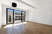Pronájem bytu 1+kk velikosti 36 m2 s balkonem ve 2.NP budovy v Triangl Living Parku v Plzni, cena 14500 CZK / objekt / měsíc, nabízí 