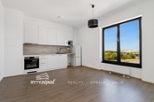 Pronájem bytu 1+kk velikosti 25 m2 nacházející se ve 3.NP novostavby Triangl Living Park, Plzeň, cena 10300 CZK / objekt / měsíc, nabízí 