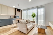Pronájem penthousu 1+kk velikosti 29 m2, s terasou 8 m2, sklepní kójí a parkovacím stáním v 5.NP budovy v Triangl Living Parku, Plzeň, cena 16400 CZK / objekt / měsíc, nabízí BYTY Západ, s.r.o.